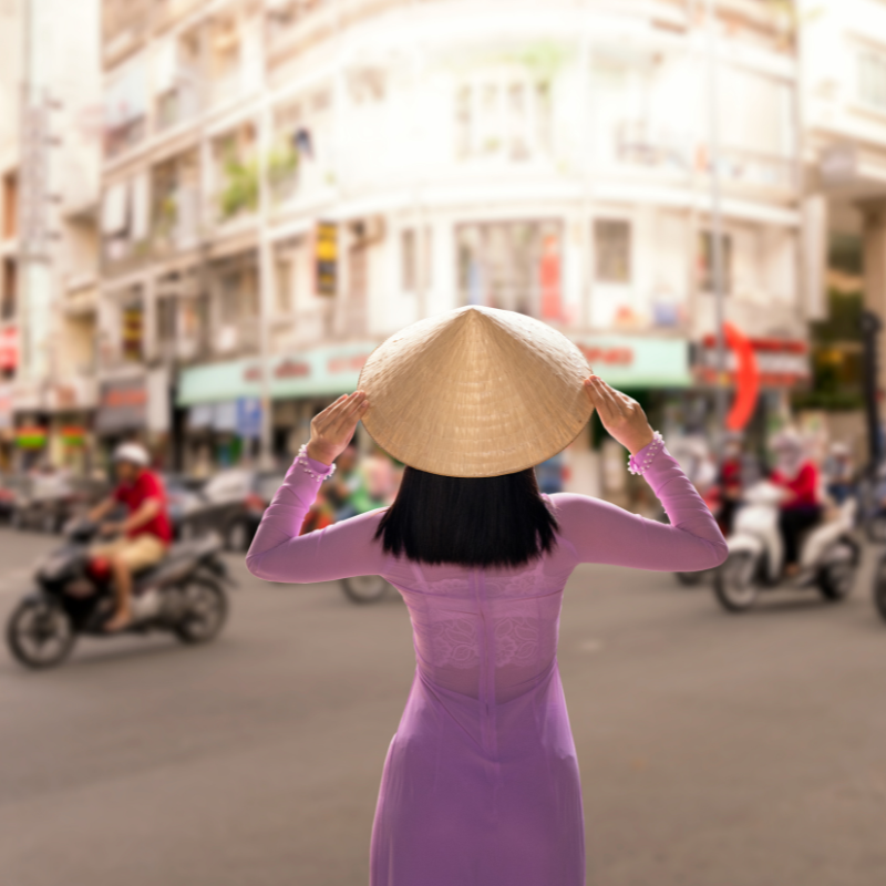 Vietnam Expedition: North to South Incredible Journey (6 days)